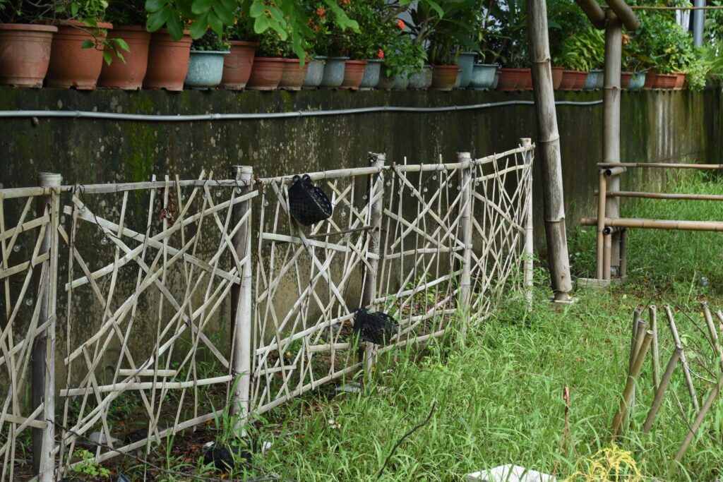 竹構 莿竹 左鎮 公舘 岡林
竹編 圍籬