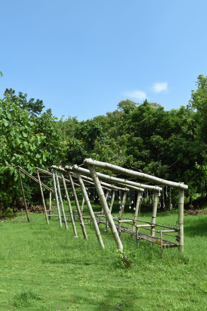 左鎮 台南 竹構 迴廊 哈洽文創工作室