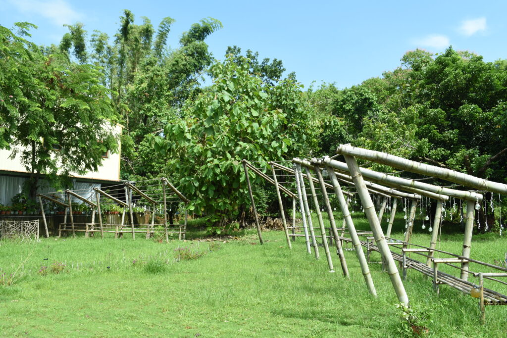左鎮 台南 竹構 迴廊 哈洽文創工作室