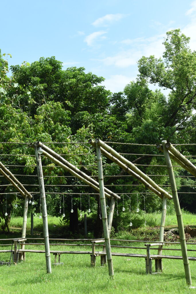 左鎮 台南 竹構 迴廊 哈洽文創工作室