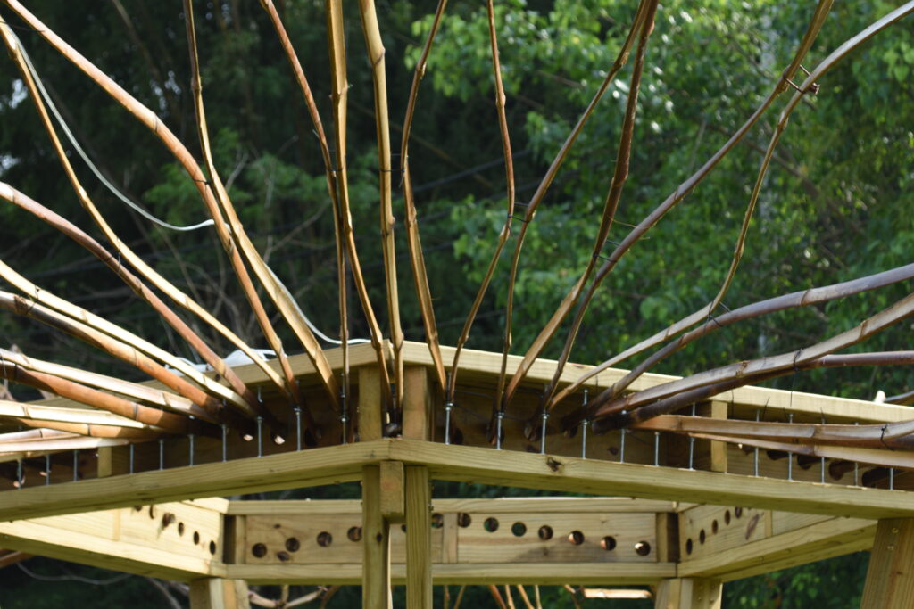 竹構 莿竹 左鎮 公舘 岡林 竹片 竹藝
南方松