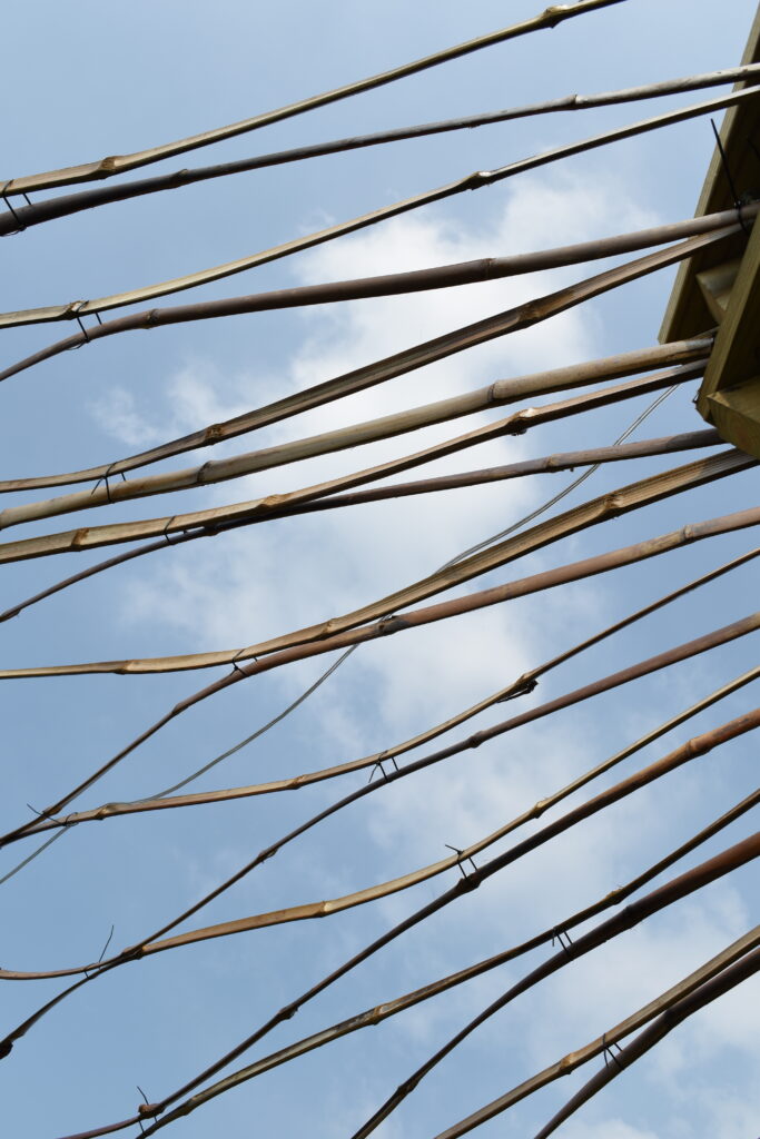 竹構 莿竹 左鎮 公舘 岡林 竹片 竹藝