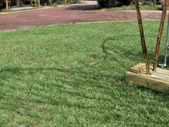 竹構 莿竹 左鎮 公舘 岡林 竹片 竹藝