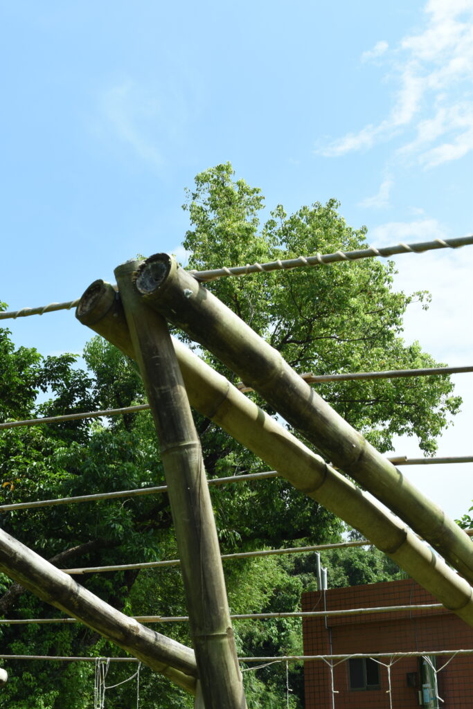 竹構 莿竹 左鎮 公舘 岡林