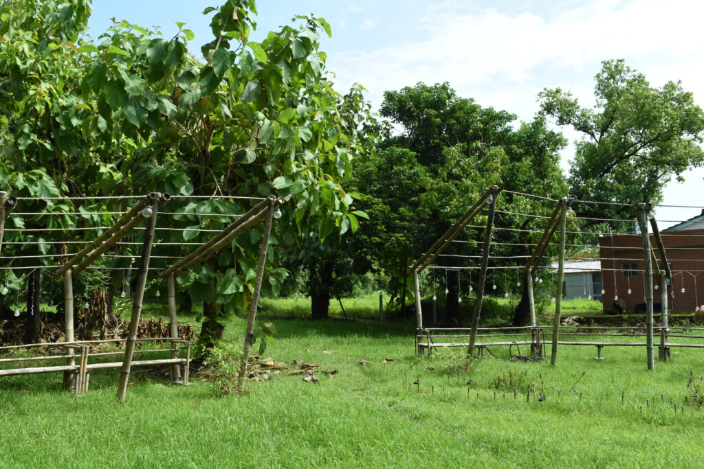 竹構 莿竹 左鎮 公舘 岡林