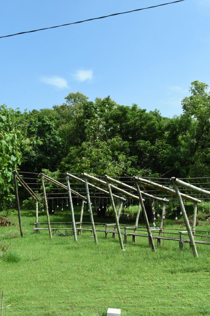 竹構 莿竹 左鎮 公舘 岡林